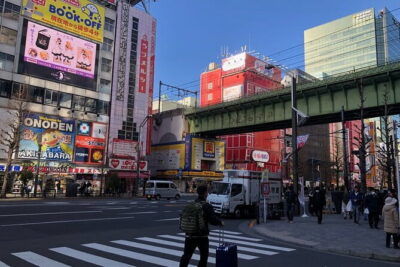 Amazing Tsukiji Fish Market and Akihabara Pop Culture of Tokyo - Lunch in Tsukiji: Pick Local Sushi or Go Your Own Way