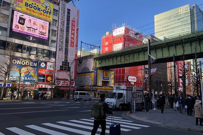 Amazing Tsukiji Fish Market and Akihabara Pop Culture of Tokyo - Lunch in Tsukiji: Pick Local Sushi or Go Your Own Way