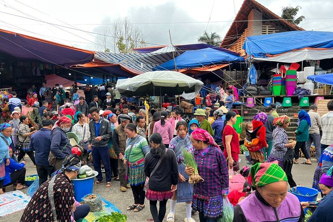 Bắc Hà Sunday Market Tour 2 days and 1 night - The guide and small group size: comfort meets context