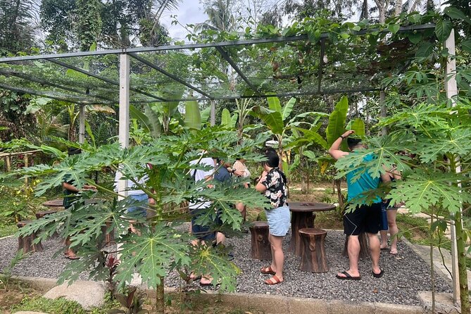 Balinese Cooking Class with Traditional Market Tour - Price and Value Check for $58.16 in Ubud