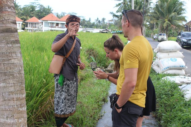 Balinese Ubud cooking school (9 Dish Cooking and Market Tour) - Rice paddies and Subak-style farming: why the farm visit isn’t just for photos