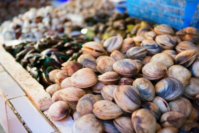 Cesarine: Market Tour & Dining at a Local's Home in Palermo - 10:30 Meeting Point and How the 3.5 Hours Flow