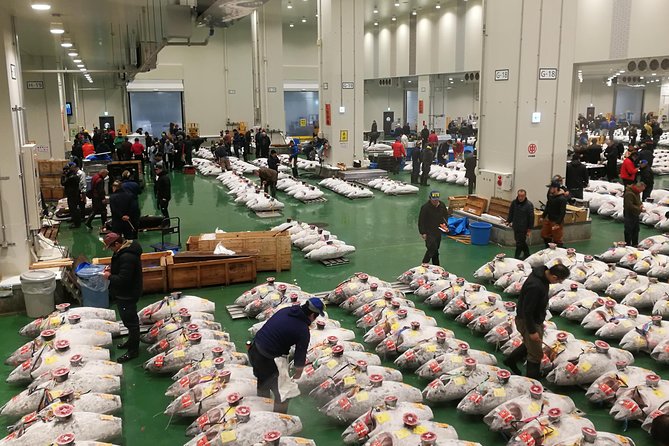 Complete Tuna Auction & Toyosu Fish Market Tour - Key highlights to know before you go