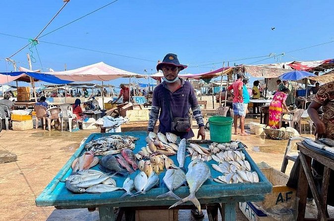 Cooking Class and Market Visit in Negombo - From Market to Kitchen: How Sri Lankan Curry Flavors Get Built
