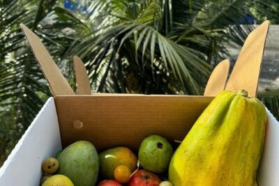 Cooking Class and Market Visit in Negombo - Picking Produce at the Negombo Vegetable Market (What You’re Actually Shopping For)