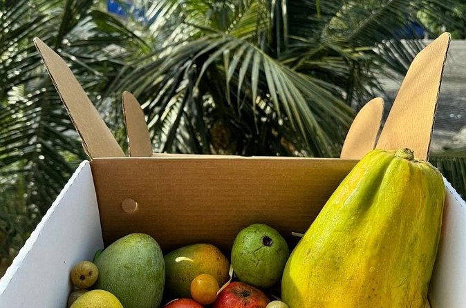 Cooking Class and Market Visit in Negombo - Price and Value: Is $70 Per Person Worth the Sri Lanka Market-to-Meal Swap?
