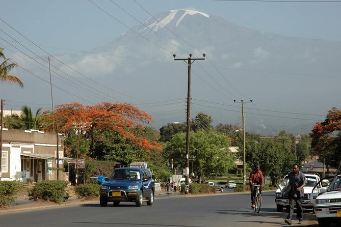 Full-Day Moshi Private Forest Walk and Local Market Tour - Key highlights you’ll feel right away