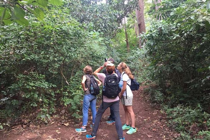 Full-Day Moshi Private Forest Walk and Local Market Tour - Should You Book This Moshi Private Forest Walk and Local Market Tour?