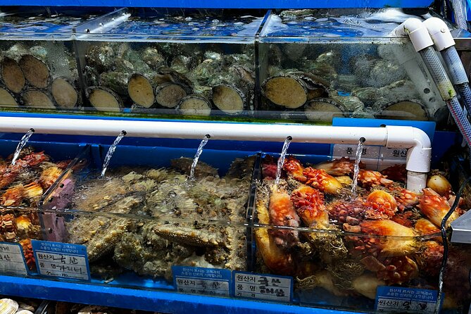 Korean Market Adventure with Chef Yie - Noryangjin Fish market - Who this tour fits best (and who should skip it)
