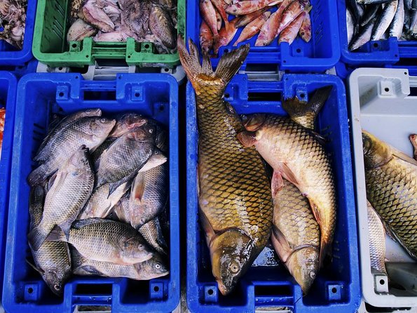 Korean Market Adventure with Chef Yie - Noryangjin Fish market - Chef Yie’s method: selecting freshness with a guide who talks clearly