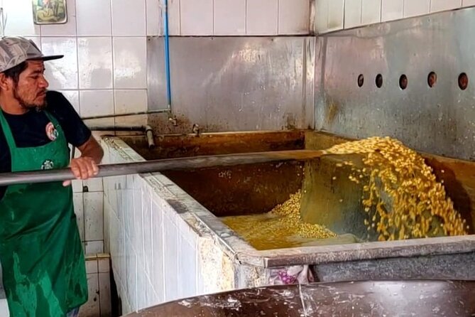 Market Visit and Mexican Cooking Class - Market first: seeing Puerto Vallarta through ingredients