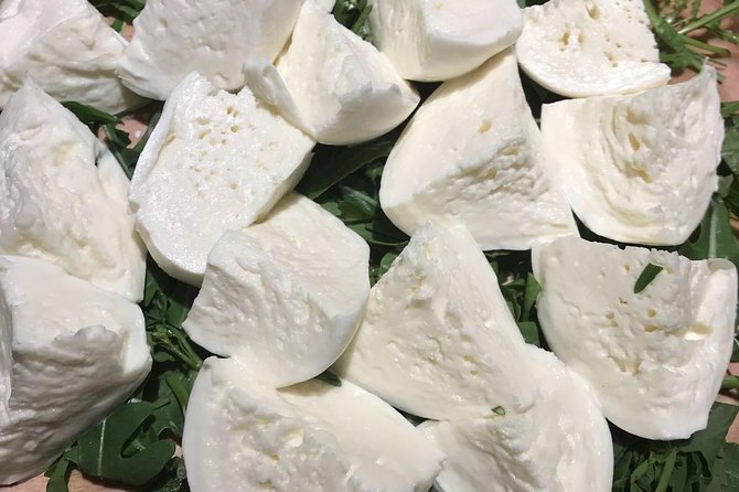 Roman Food Tour with Visit to the Trionfale Food Market - Price and value: $107.63 for four hours of food and wine