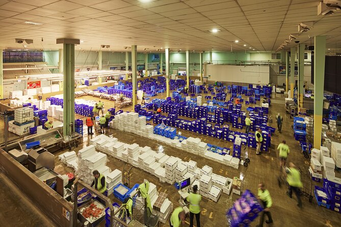 Sydney Fish Market Behind the Scenes Tour - Key highlights you’ll feel during the tour