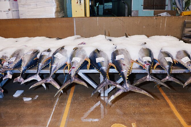 Sydney Fish Market Behind the Scenes Tour - What’s included (and what’s not) so you can pack smart