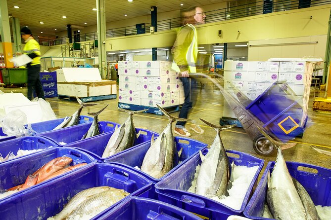 Sydney Fish Market Behind the Scenes Tour - Live seafood and species you’ll actually recognize