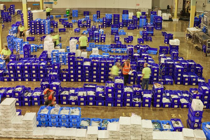 Sydney Fish Market Behind the Scenes Tour - The sustainability lessons that stay grounded