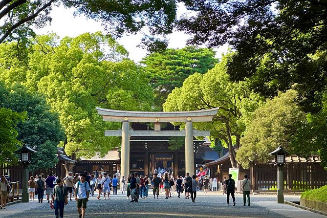Tokyo Morning Tour: Asakusa, Meiji Shrine and Tsukiji Fish Market - Key Things That Make This Morning Tour Worth It
