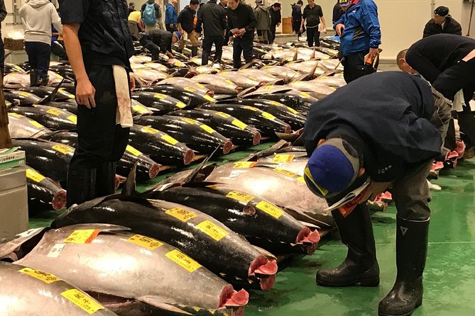 Tuna Auction and Market Tour at 'Activity Maison Kissako' - Early Pickup, Real Market Energy at Toyosu