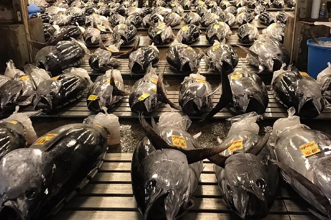 Tuna Auction and Market Tour at 'Activity Maison Kissako' - Who Should Book This Tuna Auction and Market Tour?