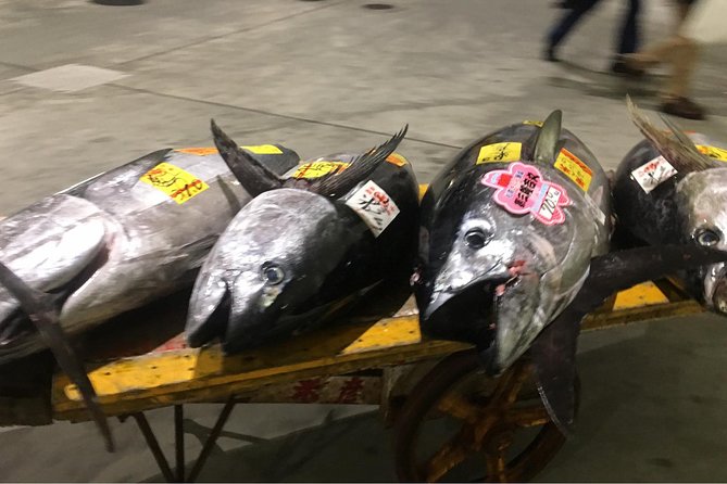 Tuna Auction and Market Tour at 'Activity Maison Kissako' - After the Auction: Wholesale Access and Buyer-Only Atmosphere