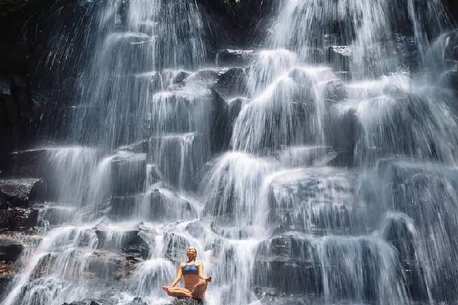 Ubud Day Tour : Waterfall, Temple and Local Night Market Tour - Price and logistics: what you’re really paying for