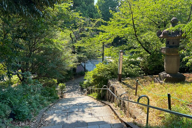 Ueno Park and Ameyoko Street Food Market Half Day Walking Tour - Ueno Park on Foot: Scenic Walks Without the Rush