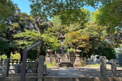 Ueno Park and Ameyoko Street Food Market Half Day Walking Tour - Meeting at JR Ueno Station: Get Your Bearings Quickly