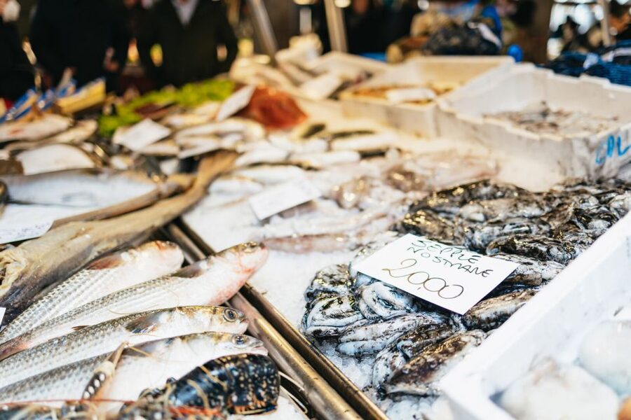 Venice: Rialto Market Tour, Cooking Class, and Lunch - Who should book this cooking day in Venice?