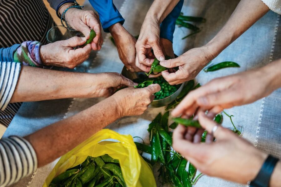 Venice: Rialto Market Tour, Cooking Class, and Lunch - Picking your menu like a local: season, fish, and sauce choices