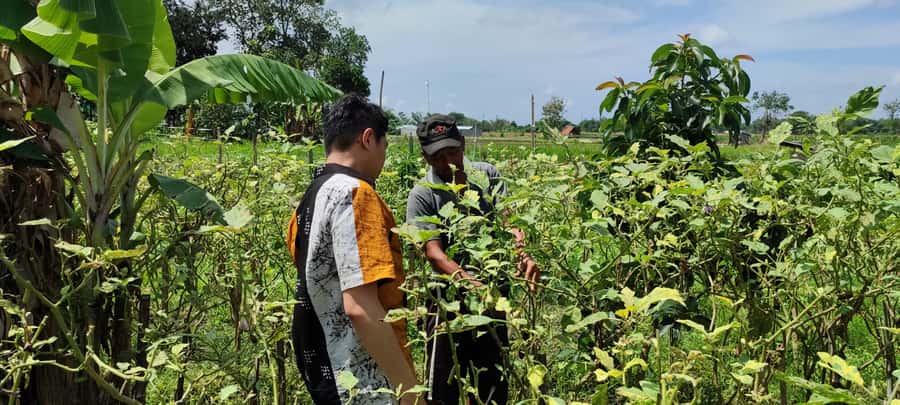 Yogyakarta: Cooking Class with Market Visit and Hotel Pickup - Key Takeaways