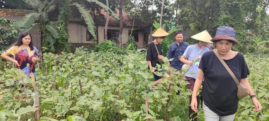 Yogyakarta: Cooking Class with Market Visit and Hotel Pickup - Accessibility and Comfort Factors