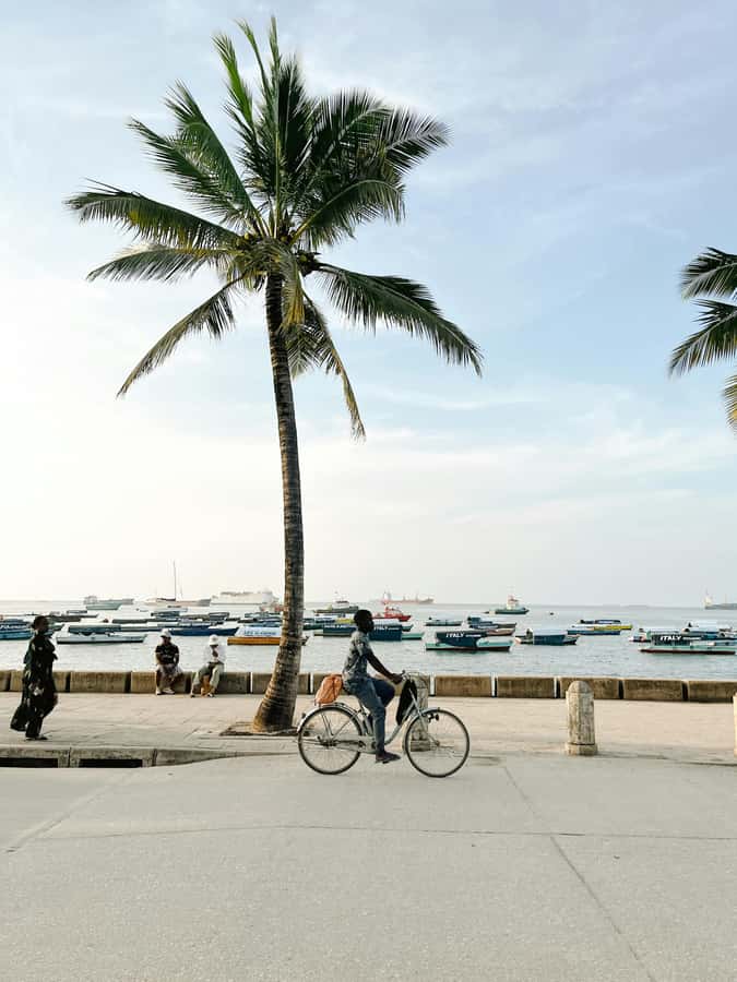 Zanzibar: Stone Town Heritage & Slave Market Tour - Darajani Market and Memories of Zanzibar: shopping with context