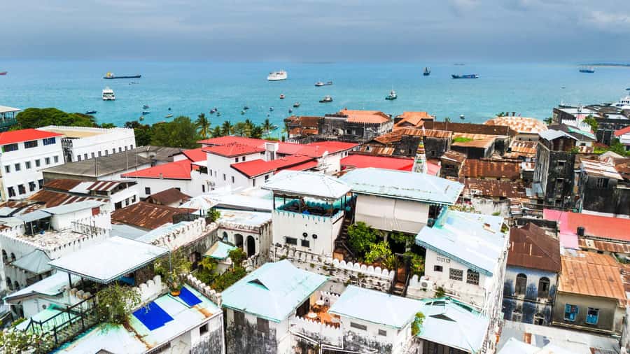 Zanzibar:Stone town Street food market walking tour,transfer - Guide quality (Ali) and how the tour feels in real life